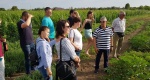 Экскурсия на виноградную усадьбу «Вилла София» с дегустацией 5 сортов вина